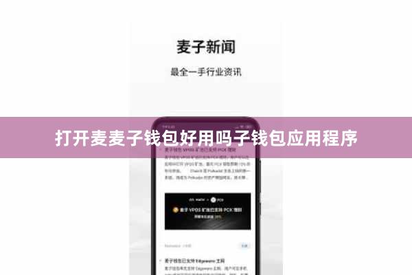 打开麦麦子钱包好用吗子钱包应用程序