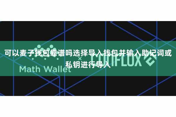 可以麦子钱包靠谱吗选择导入钱包并输入助记词或私钥进行导入
