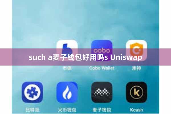 such a麦子钱包好用吗s Uniswap