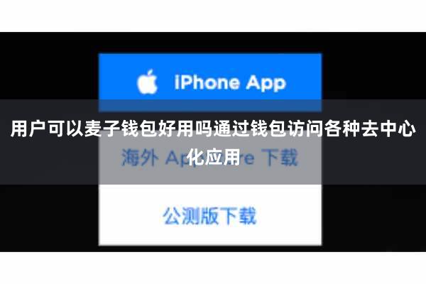 用户可以麦子钱包好用吗通过钱包访问各种去中心化应用