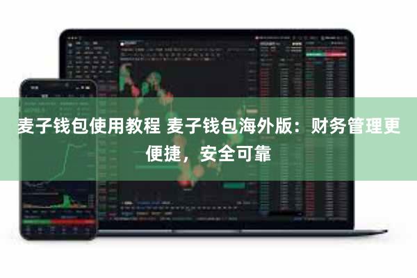 麦子钱包使用教程 麦子钱包海外版:财务管理更便捷,安全可靠