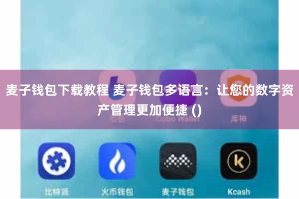 麦子钱包下载教程 麦子钱包多语言:让您的数字资产管理更加便捷 ()