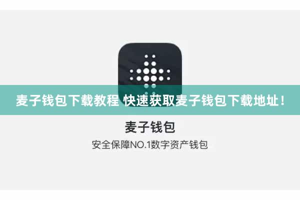 麦子钱包下载教程 快速获取麦子钱包下载地址!