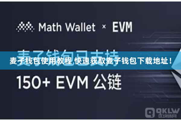 麦子钱包使用教程 快速获取麦子钱包下载地址!