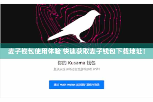 麦子钱包使用体验 快速获取麦子钱包下载地址!