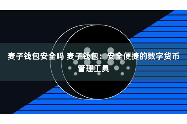 麦子钱包安全吗 麦子钱包：安全便捷的数字货币管理工具
