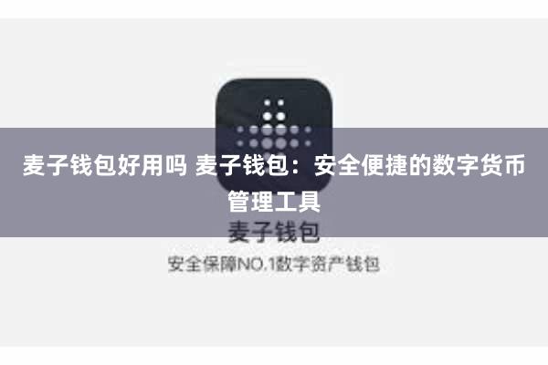 麦子钱包好用吗 麦子钱包:安全便捷的数字货币管理工具