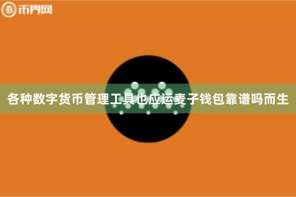 各种数字货币管理工具也应运麦子钱包靠谱吗而生