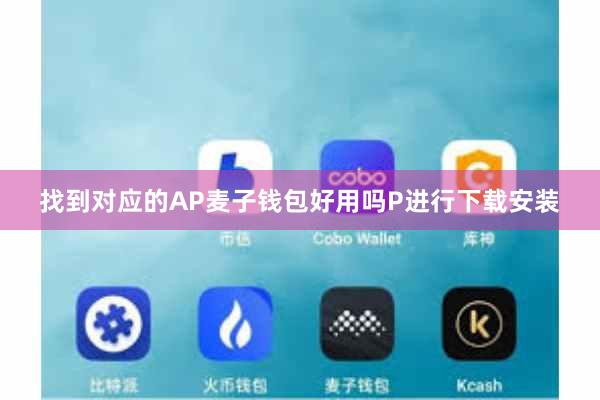 找到对应的AP麦子钱包好用吗P进行下载安装