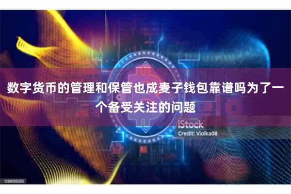 数字货币的管理和保管也成麦子钱包靠谱吗为了一个备受关注的问题