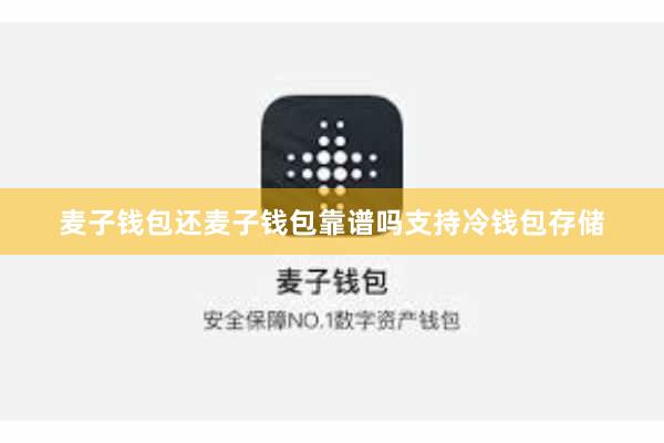 麦子钱包还麦子钱包靠谱吗支持冷钱包存储
