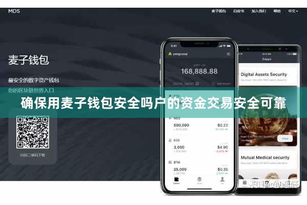 确保用麦子钱包安全吗户的资金交易安全可靠