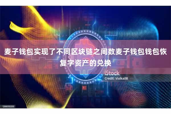 麦子钱包实现了不同区块链之间数麦子钱包钱包恢复字资产的兑换