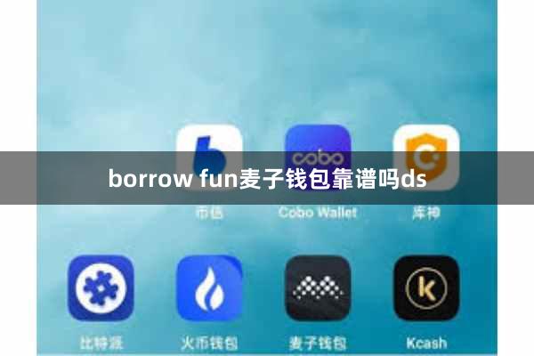 borrow fun麦子钱包靠谱吗ds