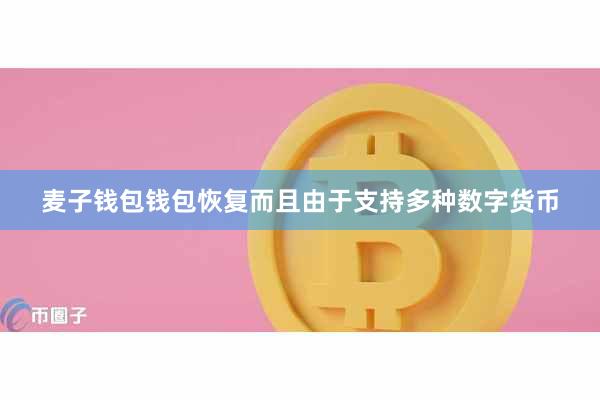 麦子钱包钱包恢复而且由于支持多种数字货币