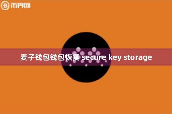 麦子钱包钱包恢复 secure key storage