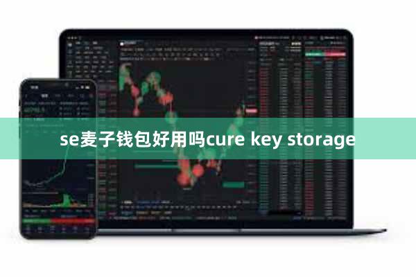 se麦子钱包好用吗cure key storage