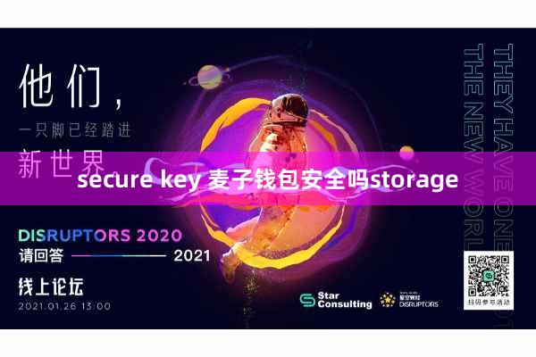 secure key 麦子钱包安全吗storage