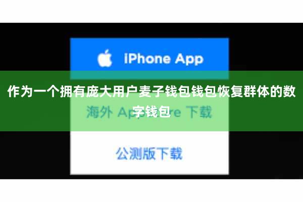 作为一个拥有庞大用户麦子钱包钱包恢复群体的数字钱包