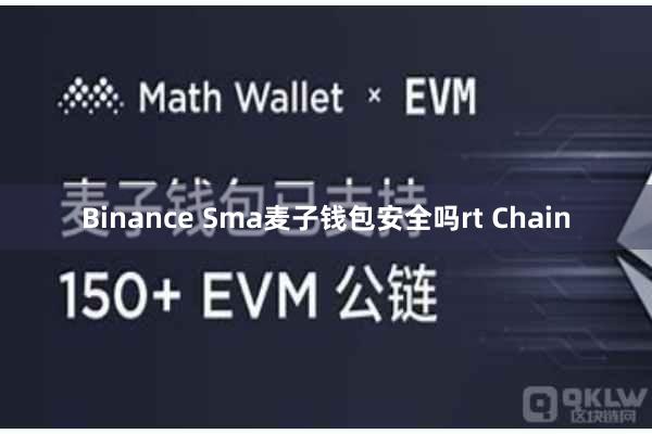 Binance Sma麦子钱包安全吗rt Chain