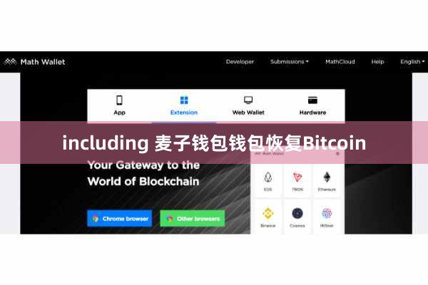 including 麦子钱包钱包恢复Bitcoin