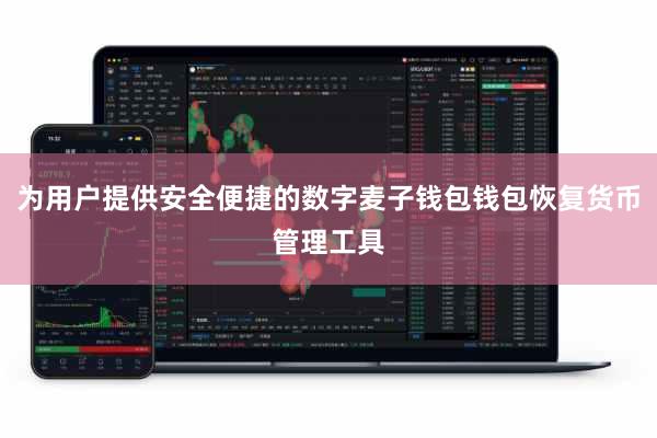 为用户提供安全便捷的数字麦子钱包钱包恢复货币管理工具