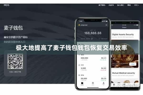 极大地提高了麦子钱包钱包恢复交易效率