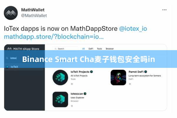 Binance Smart Cha麦子钱包安全吗in