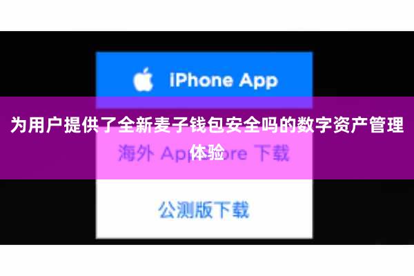 为用户提供了全新麦子钱包安全吗的数字资产管理体验