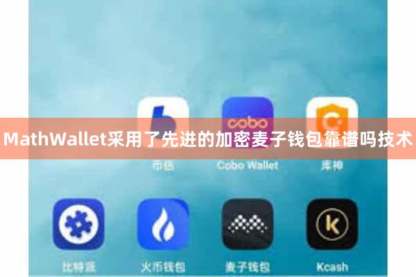 MathWallet采用了先进的加密麦子钱包靠谱吗技术